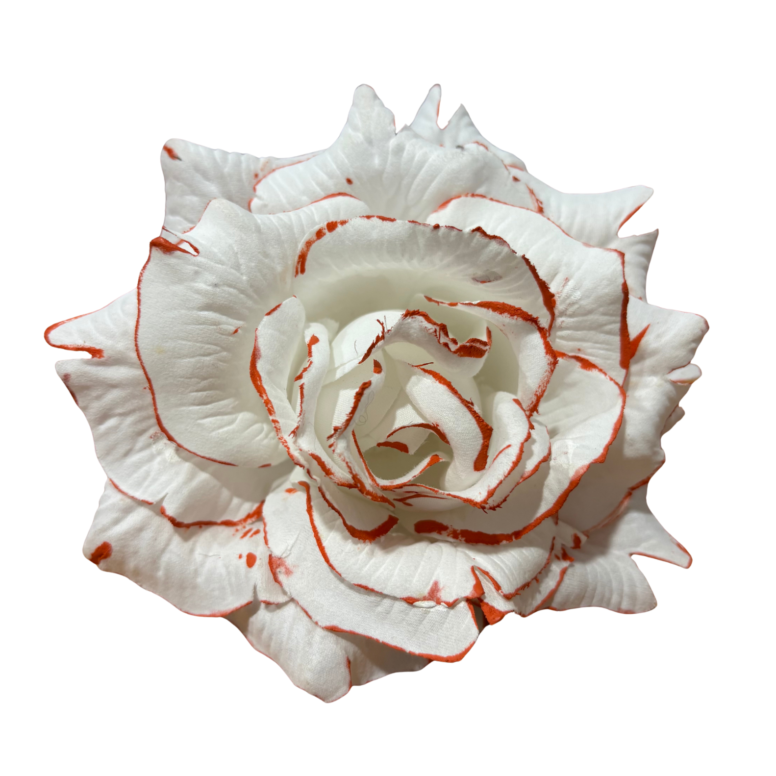 Flor Blanca amb Taronja